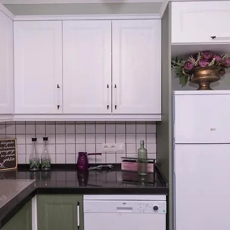 Olive Suits Datca Daily Weekly Rentals Apartman *